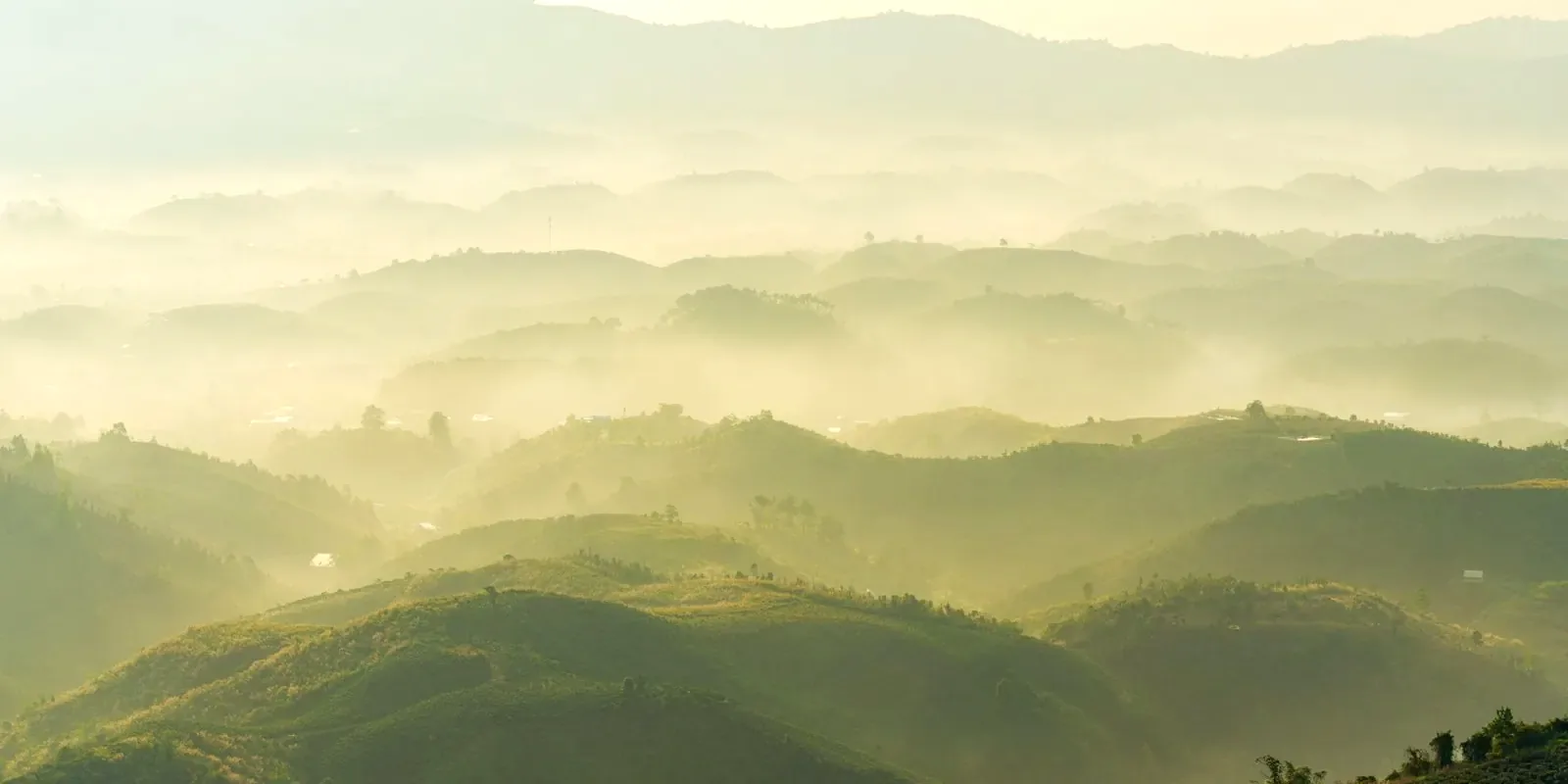 Layers of misty green mountain ridges under soft morning light