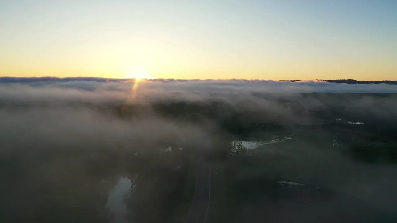 The sun rises over a misty landscape, glowing gold above a soft layer of fog