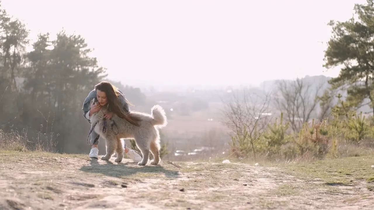 A woman in a denim jacket walks a fluffy dog along a sunlit hilltop path, phone in hand